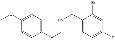 [(2-bromo-4-fluorophenyl)methyl][2-(4-methoxyphenyl)ethyl]amine Struktur