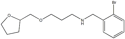 [(2-bromophenyl)methyl][3-(oxolan-2-ylmethoxy)propyl]amine Struktur