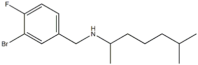 [(3-bromo-4-fluorophenyl)methyl](6-methylheptan-2-yl)amine Struktur