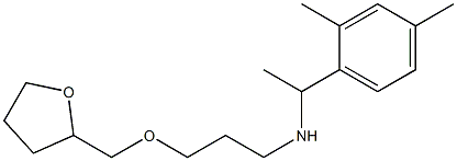 [1-(2,4-dimethylphenyl)ethyl][3-(oxolan-2-ylmethoxy)propyl]amine Struktur