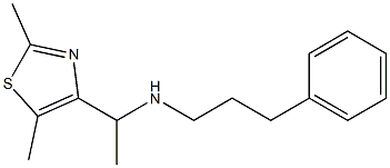 [1-(2,5-dimethyl-1,3-thiazol-4-yl)ethyl](3-phenylpropyl)amine Struktur