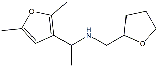 [1-(2,5-dimethylfuran-3-yl)ethyl](oxolan-2-ylmethyl)amine Struktur