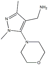 [1,3-dimethyl-5-(morpholin-4-yl)-1H-pyrazol-4-yl]methanamine Struktur