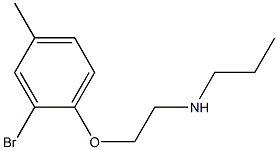 [2-(2-bromo-4-methylphenoxy)ethyl](propyl)amine Struktur