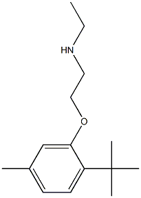 [2-(2-tert-butyl-5-methylphenoxy)ethyl](ethyl)amine Struktur