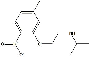 [2-(5-methyl-2-nitrophenoxy)ethyl](propan-2-yl)amine Struktur