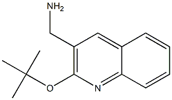 [2-(tert-butoxy)quinolin-3-yl]methanamine Struktur