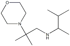 [2-methyl-2-(morpholin-4-yl)propyl](3-methylbutan-2-yl)amine Struktur