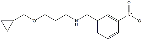 [3-(cyclopropylmethoxy)propyl][(3-nitrophenyl)methyl]amine Struktur