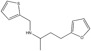 [4-(furan-2-yl)butan-2-yl](thiophen-2-ylmethyl)amine Struktur