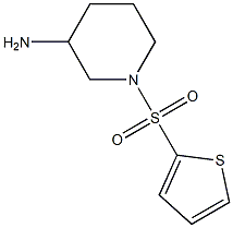 1-(thiophene-2-sulfonyl)piperidin-3-amine Struktur