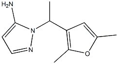 1-[1-(2,5-dimethylfuran-3-yl)ethyl]-1H-pyrazol-5-amine Struktur