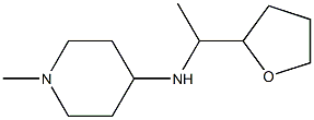 1-methyl-N-[1-(oxolan-2-yl)ethyl]piperidin-4-amine Struktur