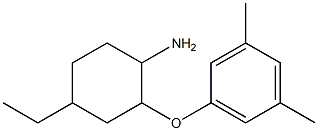 2-(3,5-dimethylphenoxy)-4-ethylcyclohexan-1-amine Struktur