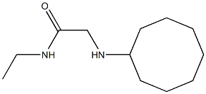 2-(cyclooctylamino)-N-ethylacetamide Struktur