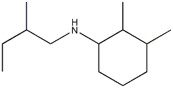 2,3-dimethyl-N-(2-methylbutyl)cyclohexan-1-amine Struktur