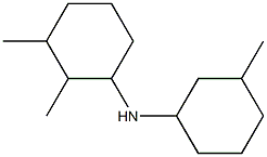 2,3-dimethyl-N-(3-methylcyclohexyl)cyclohexan-1-amine Struktur