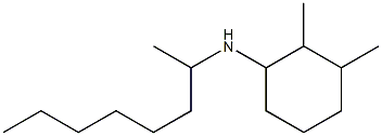 2,3-dimethyl-N-(octan-2-yl)cyclohexan-1-amine Struktur