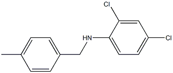 2,4-dichloro-N-[(4-methylphenyl)methyl]aniline Struktur