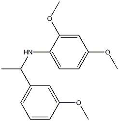 2,4-dimethoxy-N-[1-(3-methoxyphenyl)ethyl]aniline Struktur