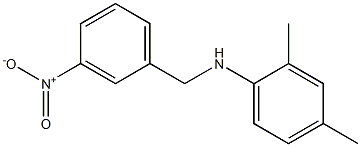 2,4-dimethyl-N-[(3-nitrophenyl)methyl]aniline Struktur