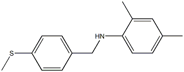 2,4-dimethyl-N-{[4-(methylsulfanyl)phenyl]methyl}aniline Struktur