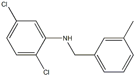 2,5-dichloro-N-[(3-methylphenyl)methyl]aniline Struktur