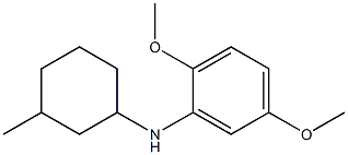 2,5-dimethoxy-N-(3-methylcyclohexyl)aniline Struktur