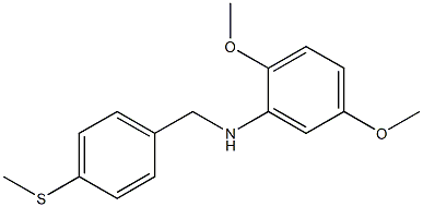 2,5-dimethoxy-N-{[4-(methylsulfanyl)phenyl]methyl}aniline Struktur