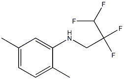 2,5-dimethyl-N-(2,2,3,3-tetrafluoropropyl)aniline Struktur