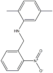 2,5-dimethyl-N-[(2-nitrophenyl)methyl]aniline Struktur