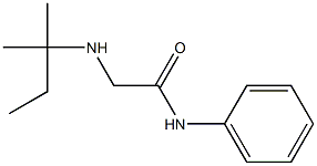 2-[(2-methylbutan-2-yl)amino]-N-phenylacetamide Struktur