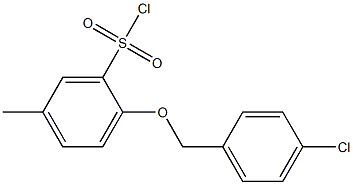 2-[(4-chlorophenyl)methoxy]-5-methylbenzene-1-sulfonyl chloride Struktur