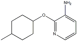 2-[(4-methylcyclohexyl)oxy]pyridin-3-amine Struktur