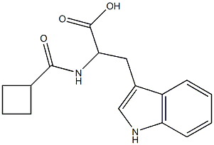 2-[(cyclobutylcarbonyl)amino]-3-(1H-indol-3-yl)propanoic acid Struktur