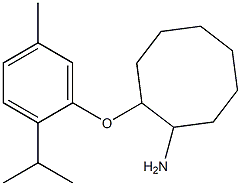 2-[5-methyl-2-(propan-2-yl)phenoxy]cyclooctan-1-amine Struktur