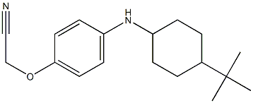 2-{4-[(4-tert-butylcyclohexyl)amino]phenoxy}acetonitrile Struktur