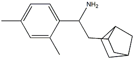 2-{bicyclo[2.2.1]heptan-2-yl}-1-(2,4-dimethylphenyl)ethan-1-amine Struktur