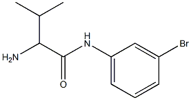 2-amino-N-(3-bromophenyl)-3-methylbutanamide Struktur