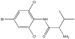 2-amino-N-(4-bromo-2,6-dichlorophenyl)-3-methylbutanamide Struktur