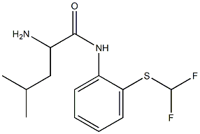 2-amino-N-{2-[(difluoromethyl)thio]phenyl}-4-methylpentanamide Struktur