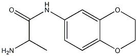 2-amino-N-2,3-dihydro-1,4-benzodioxin-6-ylpropanamide Struktur