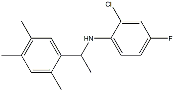 2-chloro-4-fluoro-N-[1-(2,4,5-trimethylphenyl)ethyl]aniline Struktur