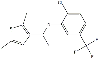 2-chloro-N-[1-(2,5-dimethylthiophen-3-yl)ethyl]-5-(trifluoromethyl)aniline Struktur