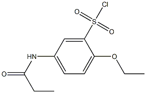 2-ethoxy-5-propanamidobenzene-1-sulfonyl chloride Struktur