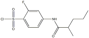 2-fluoro-4-(2-methylpentanamido)benzene-1-sulfonyl chloride Struktur