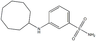 3-(cyclooctylamino)benzene-1-sulfonamide Struktur