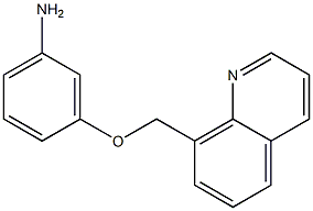 3-(quinolin-8-ylmethoxy)aniline Struktur