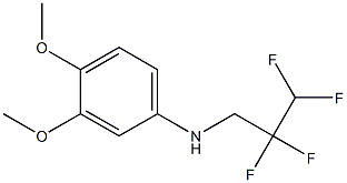 3,4-dimethoxy-N-(2,2,3,3-tetrafluoropropyl)aniline Struktur