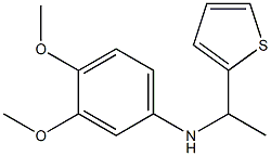 3,4-dimethoxy-N-[1-(thiophen-2-yl)ethyl]aniline Struktur